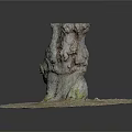 Tree Stump Decorative Base In Natural Outdoor Scene With Circular Moss Covered Surface