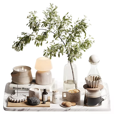 Stylish Decorative Ornament Set With Green Plant Lamp Glass Vase Coffee Tools And Books 3d model