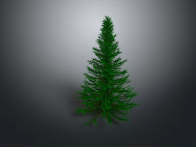 Tall Green Pine Tree Standing Against Gray Background in Natural Scene 3d model