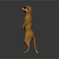 3D Rendered Meerkat Standing Upright With Orange Fur And Gray Gradient Background