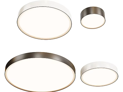 MAYTONI Zon Ceiling Lamp 3d model