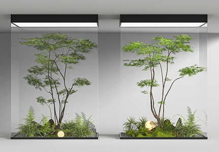 Indoor landscaping 3d model