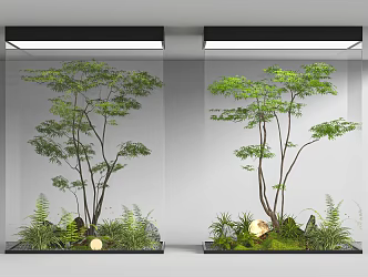 Indoor landscaping 3d model