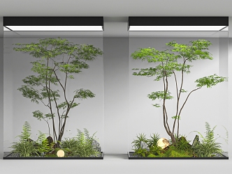 Indoor landscaping 3d model