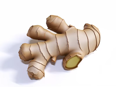 Fresh Healthy Organic Ginger Root With Natural Texture And Sliced Section 3d model