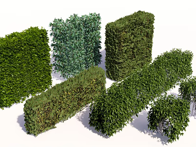 Different Types Of Trimmed Green Shrubs In Various Shapes For Garden Landscaping 3d model