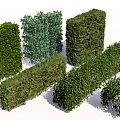 Different Types Of Trimmed Green Shrubs In Various Shapes For Garden Landscaping