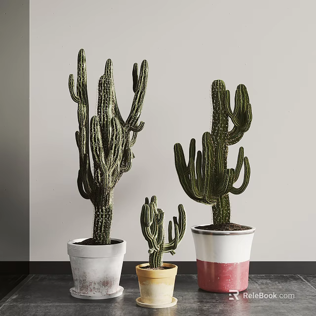Cactus Bonsai Potted Plants in Various Sizes with Colorful Ceramic Pots 3d model 