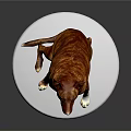 Detailed Brown and White Dog Sitting on White Base Against Gray Background