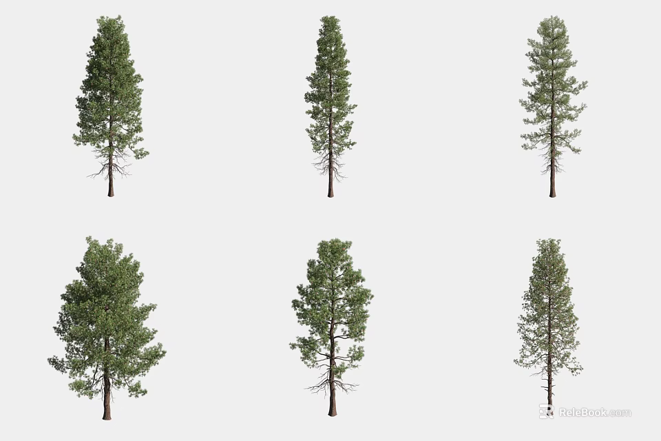 Six Different Arbor Trees With Green Foliage Isolated On White Background 3d model 