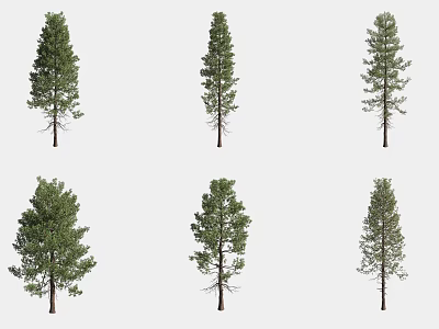 Six Different Arbor Trees With Green Foliage Isolated On White Background 3d model
