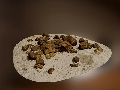Natural Brown Lumps Placed on Light Colored Oval Tray with Dark Background 3d model