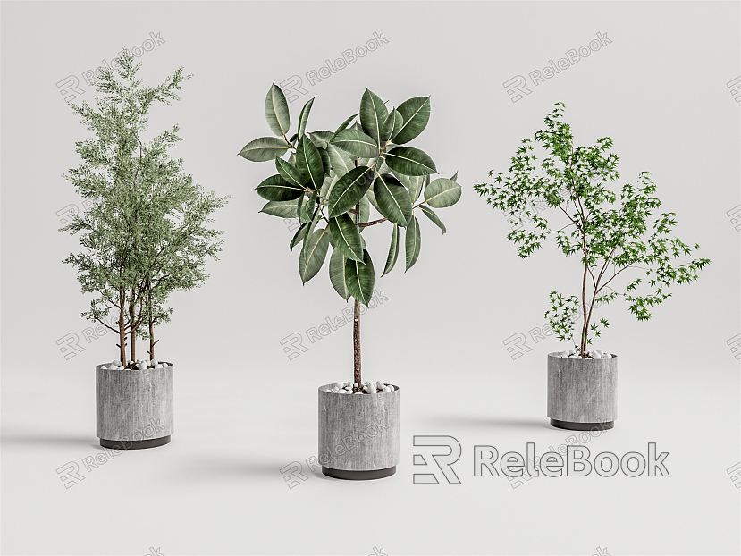 Modern Potted Plant model