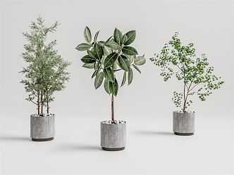 Modern Potted Plant 3d model