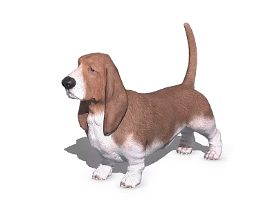 Adorable Basset Hound Dog With Brown And White Coat Long Ears And Short Legs 3d model