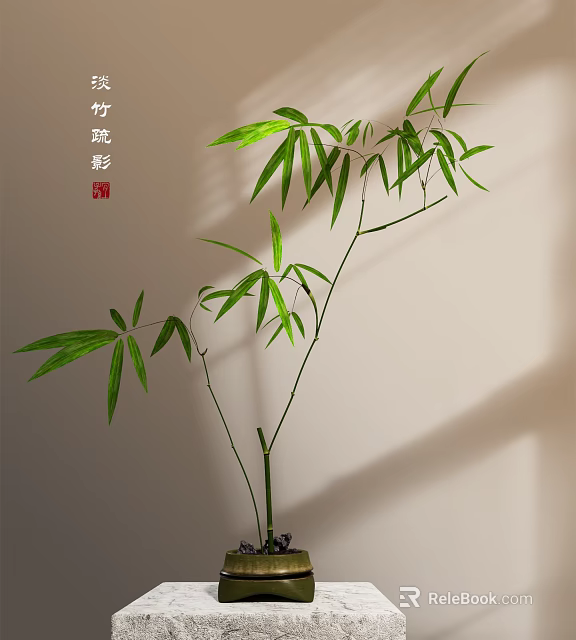 Bamboo Bonsai Potted Plant With Green Leaves Slender Stems And Indoor Shadow 3d model 