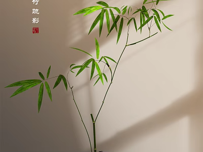 Bamboo Bonsai Potted Plant With Green Leaves Slender Stems And Indoor Shadow 3d model