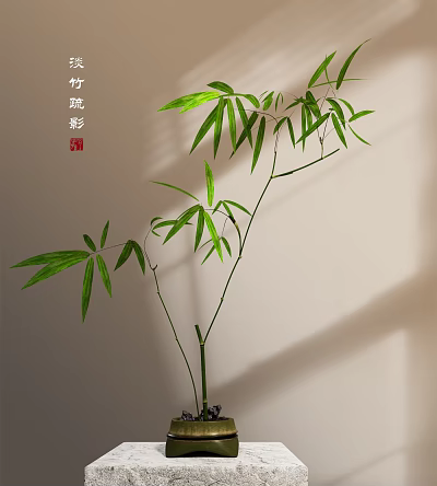 Bamboo Bonsai Potted Plant With Green Leaves Slender Stems And Indoor Shadow 3d model