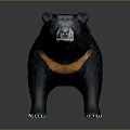 Realistic 3D Black Bear Model With Orange Neck And Standing Posture