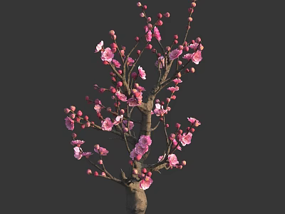 Blooming Arbor Tree With Pink Flowers And Red Flower Buds 3d model