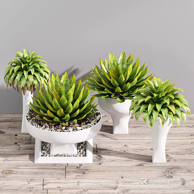 Bonsai Potted Plants with Green Succulent Leaves in White Ceramic Pots on Wooden Tabletop 3d model 