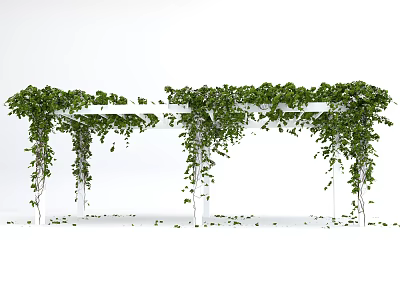 Outdoor Pergola Covered With Lush Green Climbing Vines And Foliage 3d model