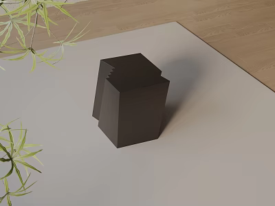 Black Side Table On Light Colored Rug With Green Plant Leaves And Wooden Floor 3d model