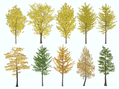 Various Arbor Trees With Colorful Foliage And Different Shapes For Garden Landscaping 3d model