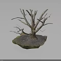 Decorative Dry Tree With Detailed Twisted Branches And Mossy Stone Base