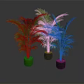 Lush Green Palm Plants In Green And Black Pots Against Dark Background