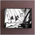 Black and White Botanical Painting Featuring Monstera Leaves in Black Frame