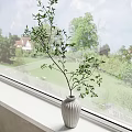 White Striped Vase With Green Branches On Window Sill And Outdoor View