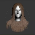 Metallic Head Model Featuring Facial Organ Structure And Long Brown Hair