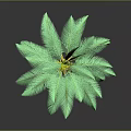 Green Palm Plant With Lush Green Leaves And Yellow Center In 3D Rendering