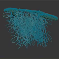 Natural Plant Structure With Green Grassy Top And Exposed Intertwined Roots