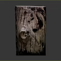 Natural Tree Stump With Rough Wood Texture And Weathered Plant Growth
