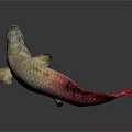 Vibrant Mythical Animal With Scaly Body And Red Fish Tail On White Background