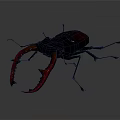 Modern beetle dung beetle chafer 3d model