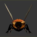 Detailed Realistic Bee with Orange Black Body and Transparent Textured Wings on Dark Background