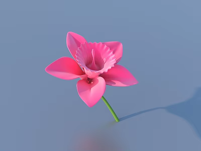 Beautiful Pink Flower With Vibrant Petals And Green Stem On Blue Background 3d model
