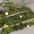 Plant combination courtyard sketch moss micro-terrain plant pile landscape landscaping 3d model