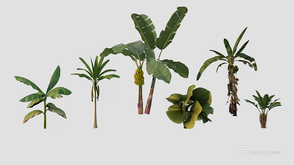 Diverse Tropical Plants Featuring Banana Trees Palm Leaves And Large Green Foliage 3d model 