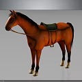 Red Horse With Black Mane Tail And Green Saddle Standing On Dark Background