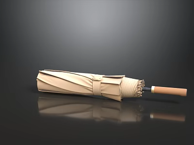 Beige Folded Umbrella With Wooden Handle On Smooth Black Surface and Reflection 3d model
