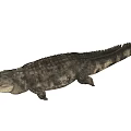 Reptile Crocodile 3D Model With Detailed Skin Texture On Gray Background