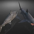 Two Large Aquatic Sharks With Striped Bodies And Open Mouth Features In
