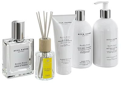 Daily Cleansing Products Including Reed Diffuser Hand Wash And Lotion Bottles 3d model