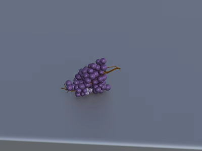 Fresh Plump Purple Grapes on a Gray Background Close Up View 3d model