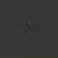 Spider with long thin legs and metallic texture on gray gradient background