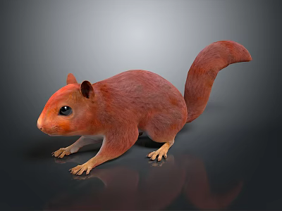 Red Squirrel 3D Character Model For Game Film With Realistic Fur Texture 3d model